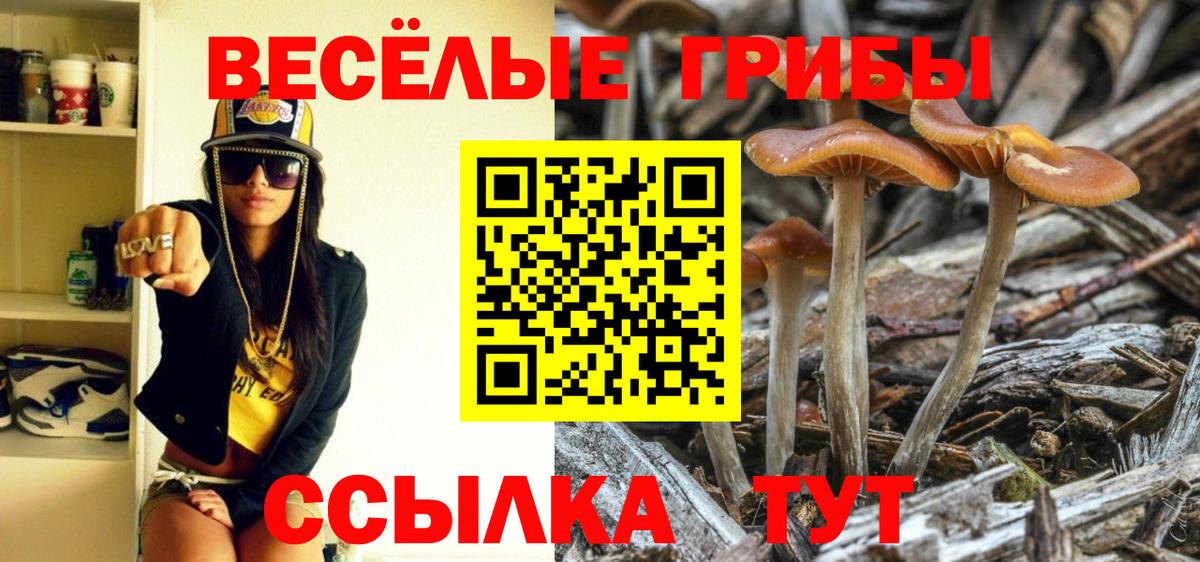 Галлюциногенные грибы Magic Shrooms  Вход с VPN  Брянск 