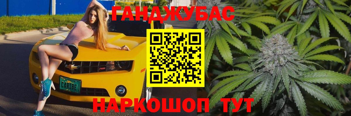 Бошки Шишки планчик Брянск